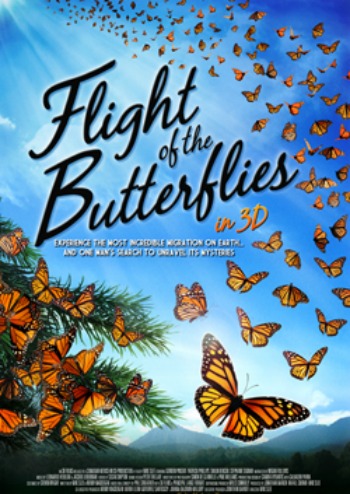 flight of butterflies