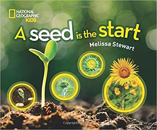 A Seed is the Start 