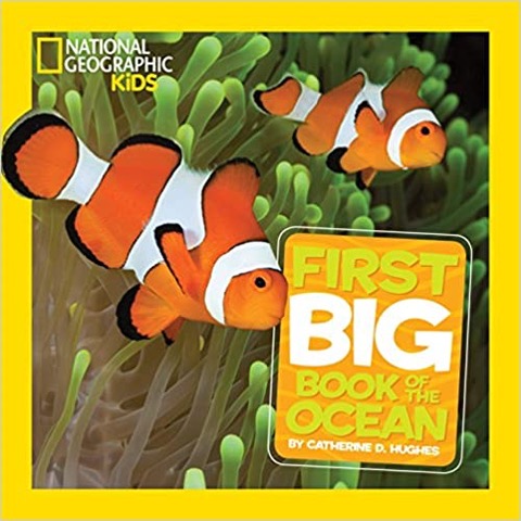  Little Kids First Big Book of the Ocean